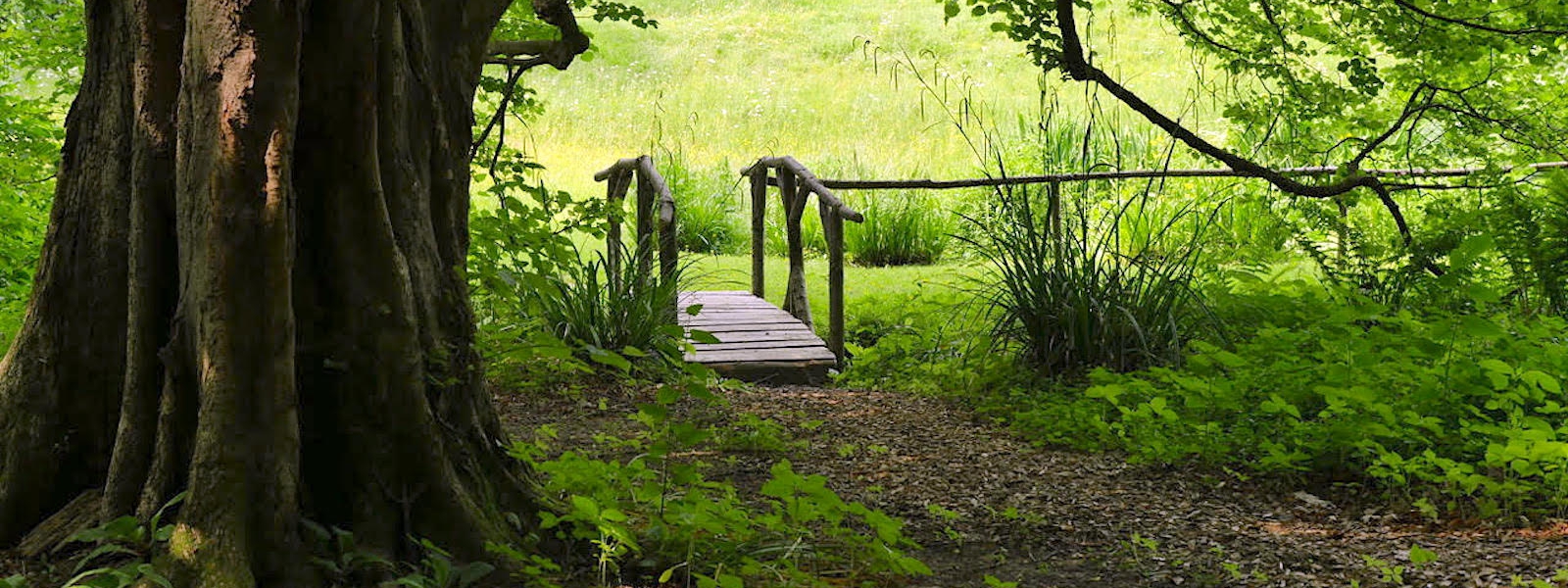 Garden path