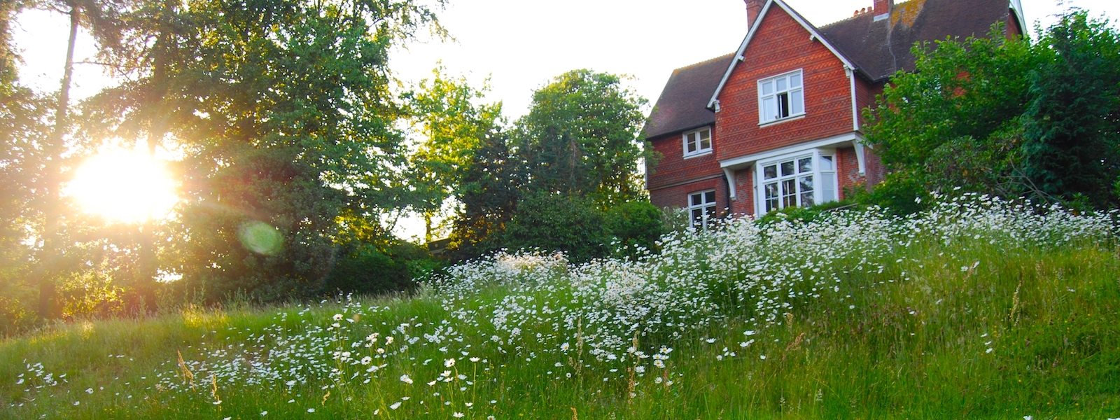 Rivendell house and garden