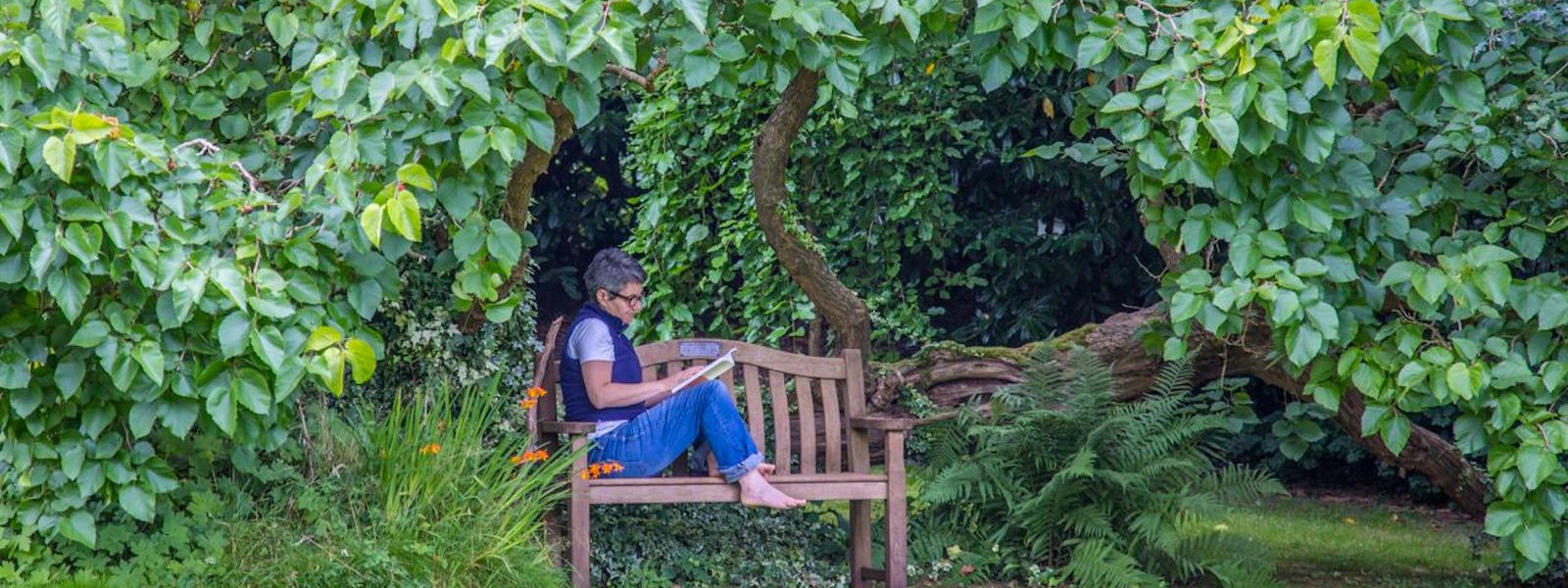 Woman reading in the garden